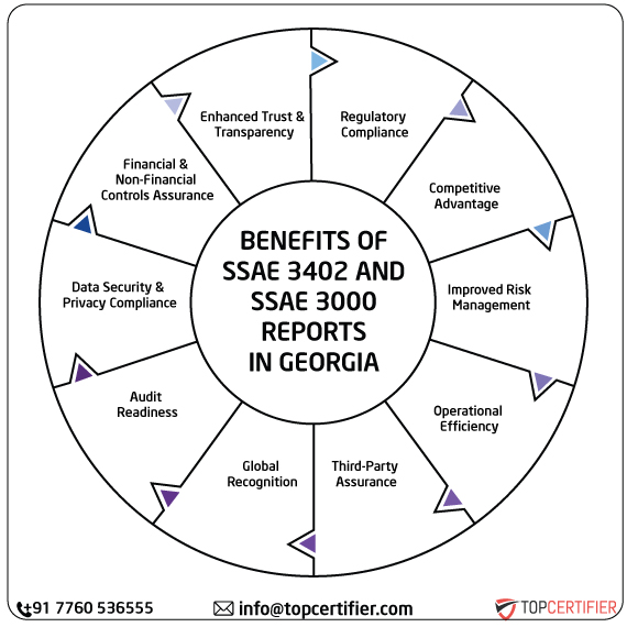 SSAE & SSAE 3000 Report in georgia